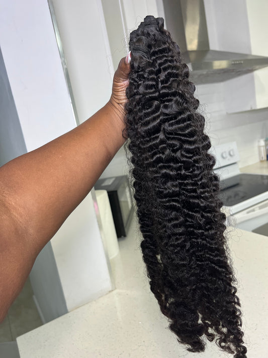 Burmese Curl