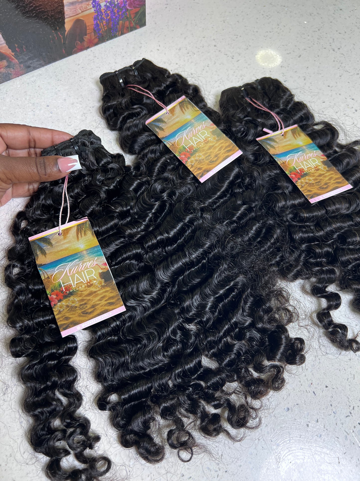 Burmese Curly Bundle Deal